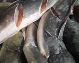 Foto langkah ke 1 dari resep Ikan Lele Marinasi Bumbu Ketumbar (Bumbu Tabur).