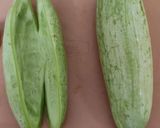 A picture of step 1 of Snake gourd subji.