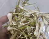Foto langkah ke 1 dari resep Tumis Lengkio Cabe Ijo Mudah Enak Simpel.