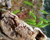 Foto langkah ke 4 dari resep Sop kepala ikan manyung kuah bening.