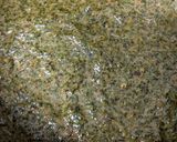 A picture of step 3 of Mint dip/Pudina thogayal.