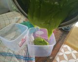 Foto langkah ke 7 dari resep Selai Sarikaya/Srikaya.