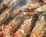 Foto del paso 3 de la receta: Gambas rojas a la plancha perfectas para Navidad