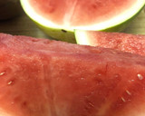 Foto del paso 1 de la receta: Sorbete de Sandía