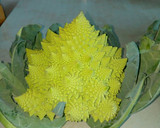 Foto del paso 1 de la receta: Romanescu con jamón 