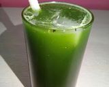 A picture of step 7 of Watermelon Skin Juice.