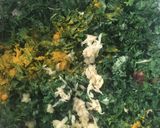A picture of step 3 of Saag.
