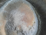 Roti Unyil Isi Selai Keju Homemade