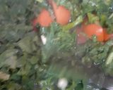 सरसो दा साग (Sarso ka saag recipe in Hindi) रेसिपी चरण 3 फोटो