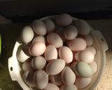 Hình bước làm 1 của món Muối trứng vịt