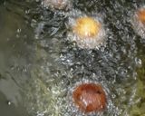 A picture of step 4 of Gulab Jamun.
