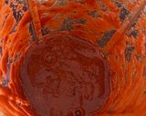 A picture of step 1 of Red Curry Chicken.