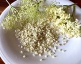 Foto del passaggio 2 della ricetta 116 • Focaccia dolce coi fiori di sambuco ❤️