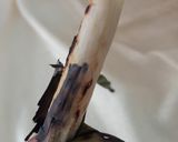 Foto langkah ke 7 dari resep 8. Otak otak bakar ikan tengiri.