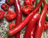 Une image de l'étape 8 de 🥫conserve sucrée 🍒🍓ou 🫑🌶️salée 🌿.