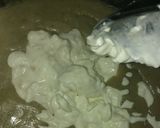 Foto del paso 9 de la receta: Lago del champiñón (Crema de champiñones)