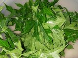 Tumis Daun Pepaya Jepang