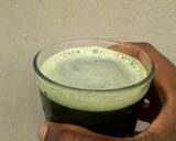 A picture of step 6 of Waterleaf Juice(Talinum triangulare).