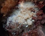 A picture of step 2 of Two Meatloaf in one pan.
