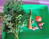 Foto langkah ke 1 dari resep Sayur Bening Kelor & Wortel.