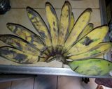 Foto langkah ke 1 dari resep Pisang Nugget Keju.