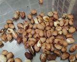 A picture of step 1 of Peanut and Gur Chikki.