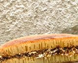 Foto langkah ke 12 dari resep Martabak Manis Teflon (Tanpa Resting).