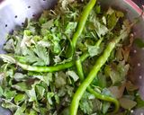 લીમડા ફુદીના ની ગ્રીન ચટણી (Neem Mint Green Chutney Recipe In Gujarati) રેસીપી સ્ટેપ1ફોટો