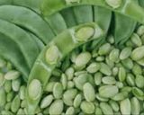 A picture of step 1 of Lilva beans Hara bhara kabab.