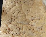 Foto del paso 2 de la receta: Wraps nube