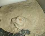 Foto del paso 23 de la receta: 🇨🇴Pan Casero - Bogotá Colombia 🇨🇴