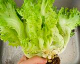 Hình bước làm 3 của món Tim heo xào hành tây