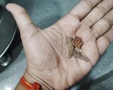 A picture of step 5 of Adrak wali chai.