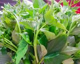 Hình bước làm 1 của món Canh rau lang nấu tôm tươi