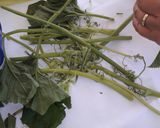 Φωτογραφία βήματος 1 της συνταγής Κολοκυθοκορφάδες
