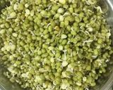 A picture of step 2 of Sprout moong veg.
