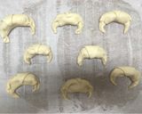 Foto del paso 3 de la receta: Mini croissants rellenos con crema de cacahuete y plátano
