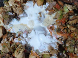Arroz cremoso mixto