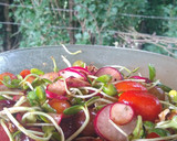 Foto del paso 4 de la receta: Pechito marinado, rabanitos, brotes de girasol, cherrys y uvas