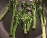 A picture of step 1 of Tenderstem broccoli trees 🌱🌳.