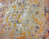 Foto del paso 3 de la receta: Cacerola de coliflor con queso