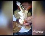 A picture of step 7 of Stuffed Bhatoora.