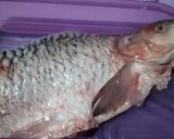 Foto langkah ke 1 dari resep Paliat Ikan Jelawat Masakan Khas Tabalong.
