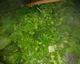 Foto del paso 4 de la receta: Sopa de hierba mora (Macuy) 🍃🌱