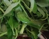 Foto langkah ke 3 dari resep Tumis Kangkung Teri Nasi (Teri Medan).