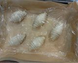 冷冻面团之二 👉 脆 & 软海盐卷（冷冻后整形更方便）的食譜步驟16照片