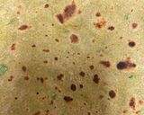 A picture of step 4 of Drumstick leaves Ragi paratha.