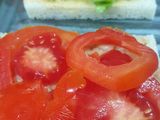 Tuna Sandwich