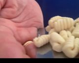 Foto del passaggio 8 della ricetta Gnocchetti sardi al ragù