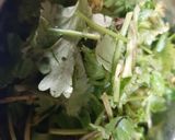 A picture of step 1 of Green Chutney Dip.